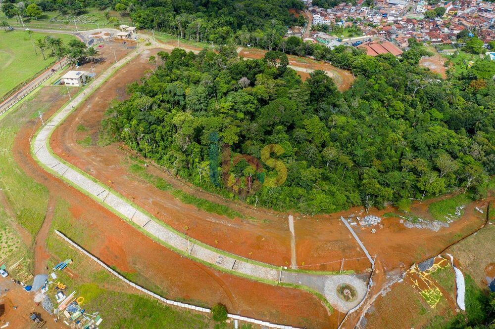 Terreno, 1000 hectares - Foto 3