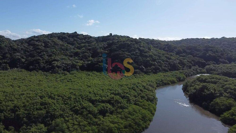 Casa, 4 quartos, 400 m² - Foto 6