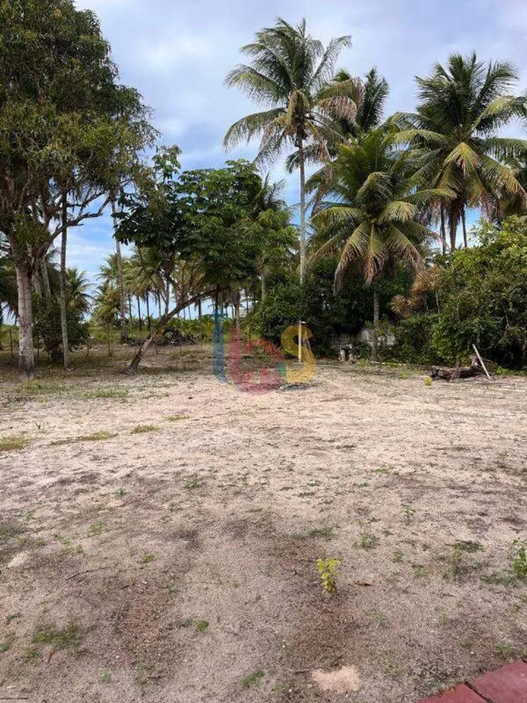 Casa, 6 quartos, 300 m² - Foto 5