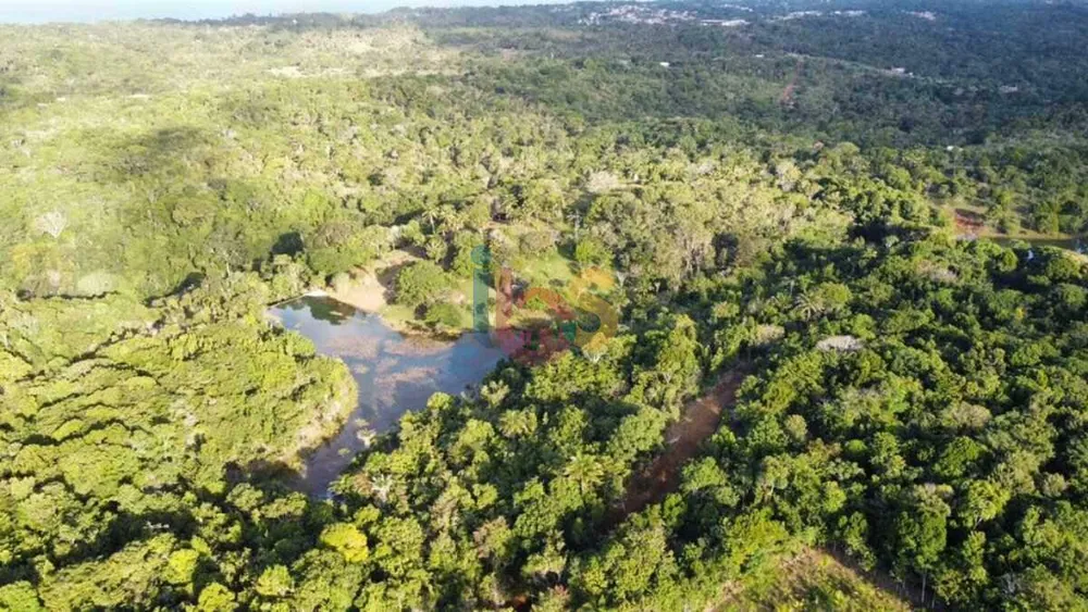 Terreno, 5000 m² - Foto 6