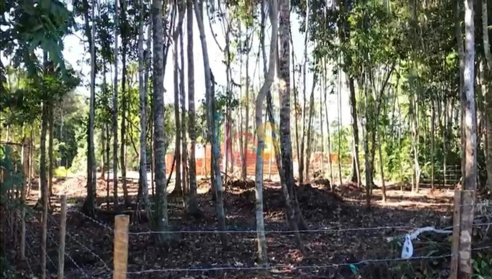 Terreno, 729 m² - Foto 6