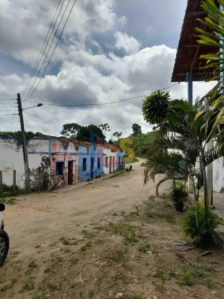 Sítio, 39 hectares - Foto 12