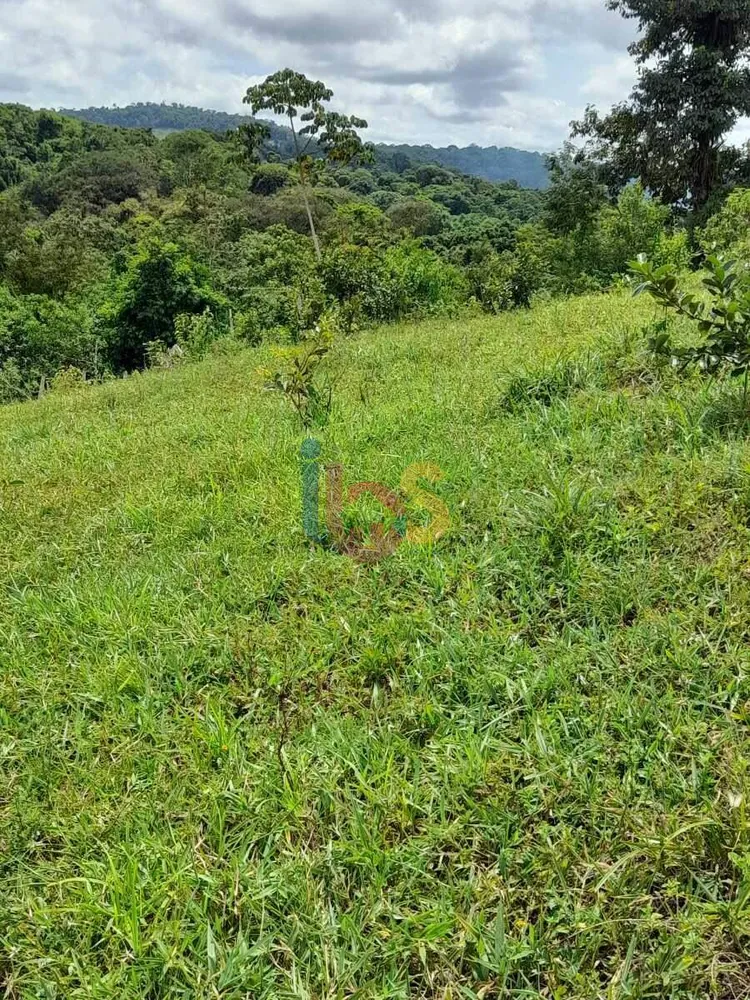 Sítio, 39 hectares - Foto 11