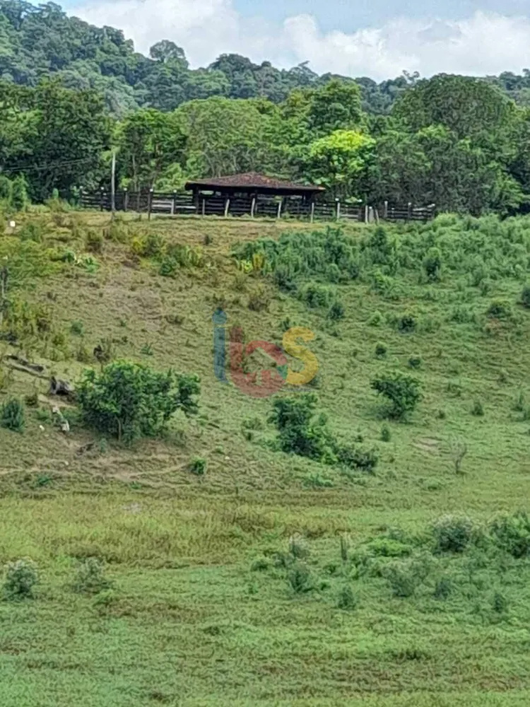 Sítio, 39 hectares - Foto 10