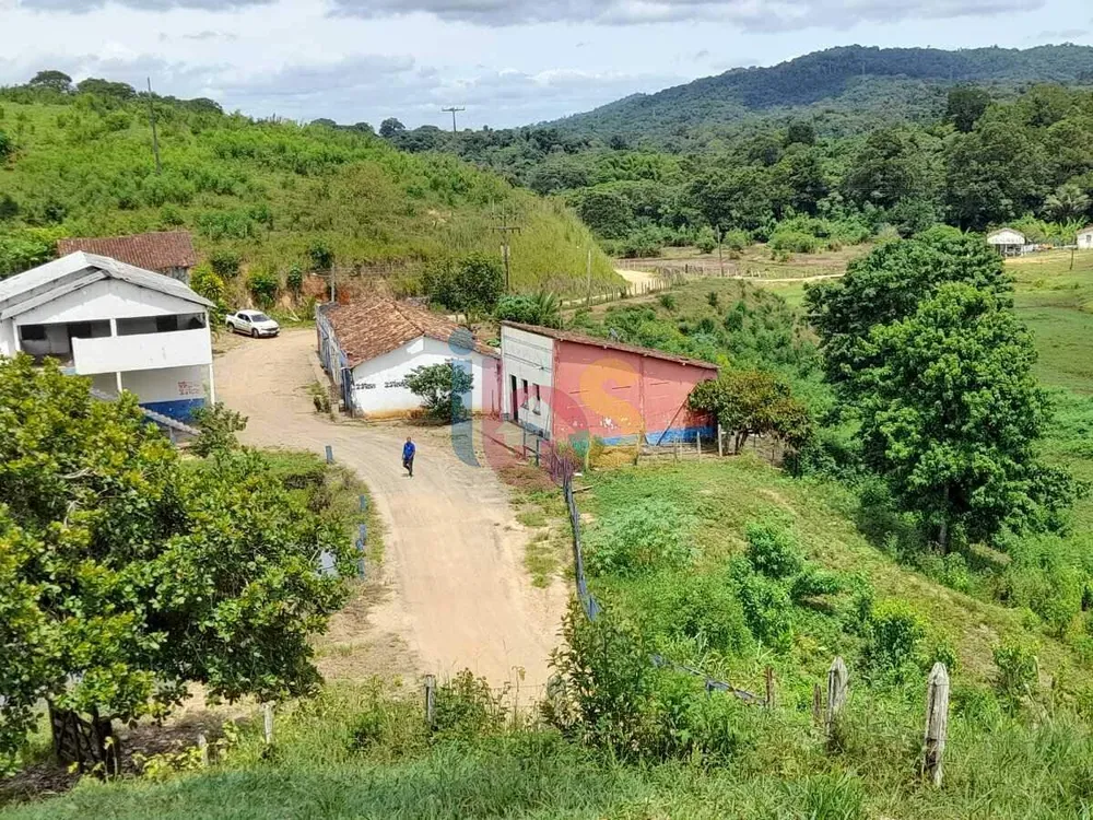 Sítio, 39 hectares - Foto 4