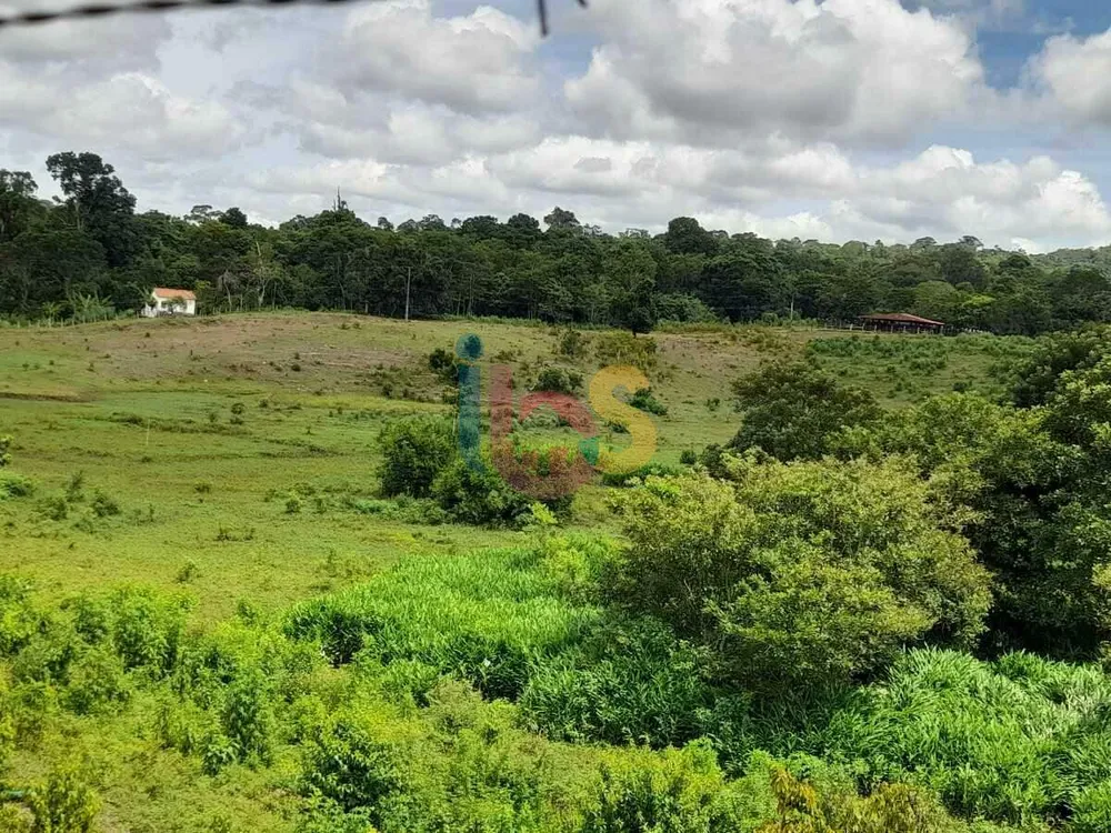 Sítio, 39 hectares - Foto 1