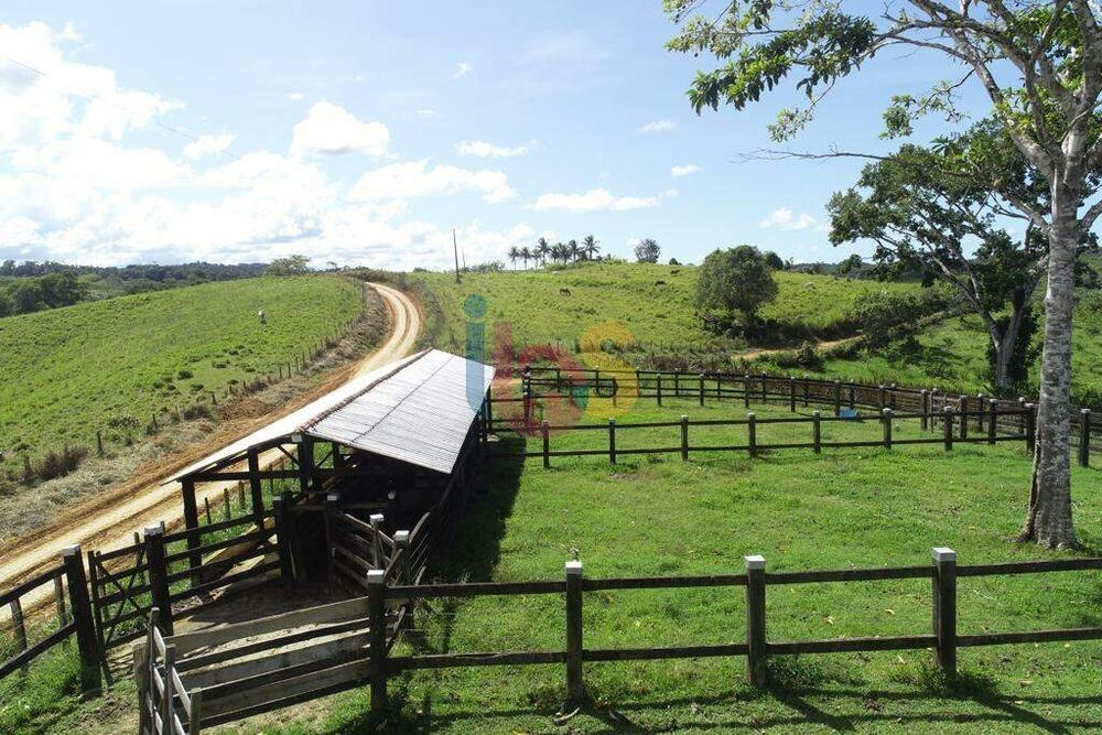 Fazenda - Foto 4