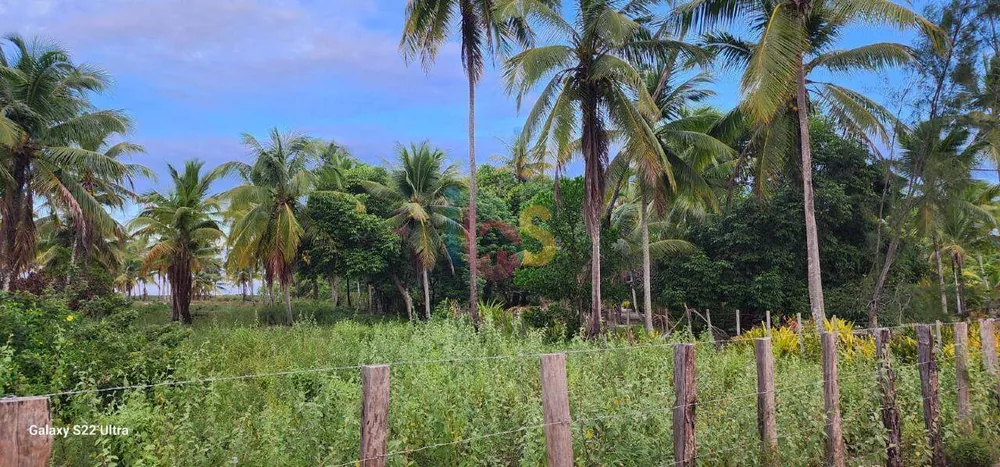 Terreno à venda, 8500m² - Foto 4