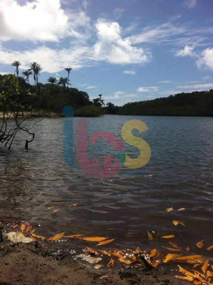 Terreno, 3 hectares - Foto 2