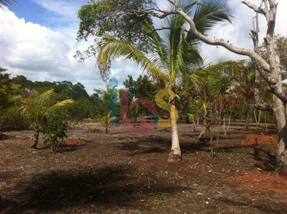 Terreno, 3 hectares - Foto 6