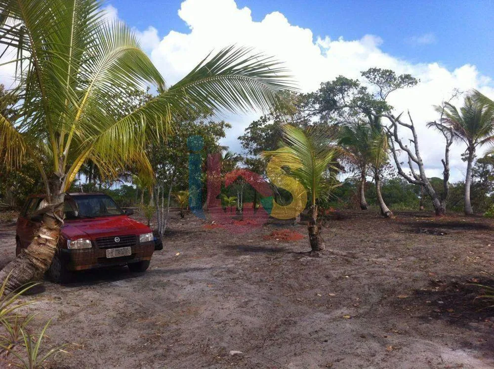 Terreno, 3 hectares - Foto 3