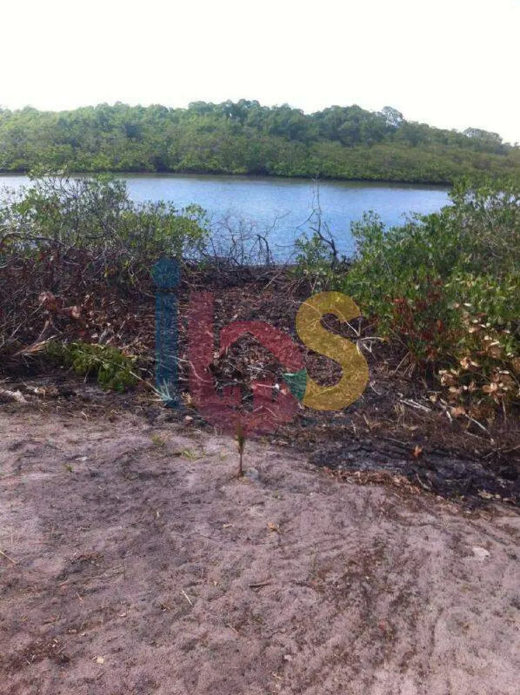 Terreno, 3 hectares - Foto 4
