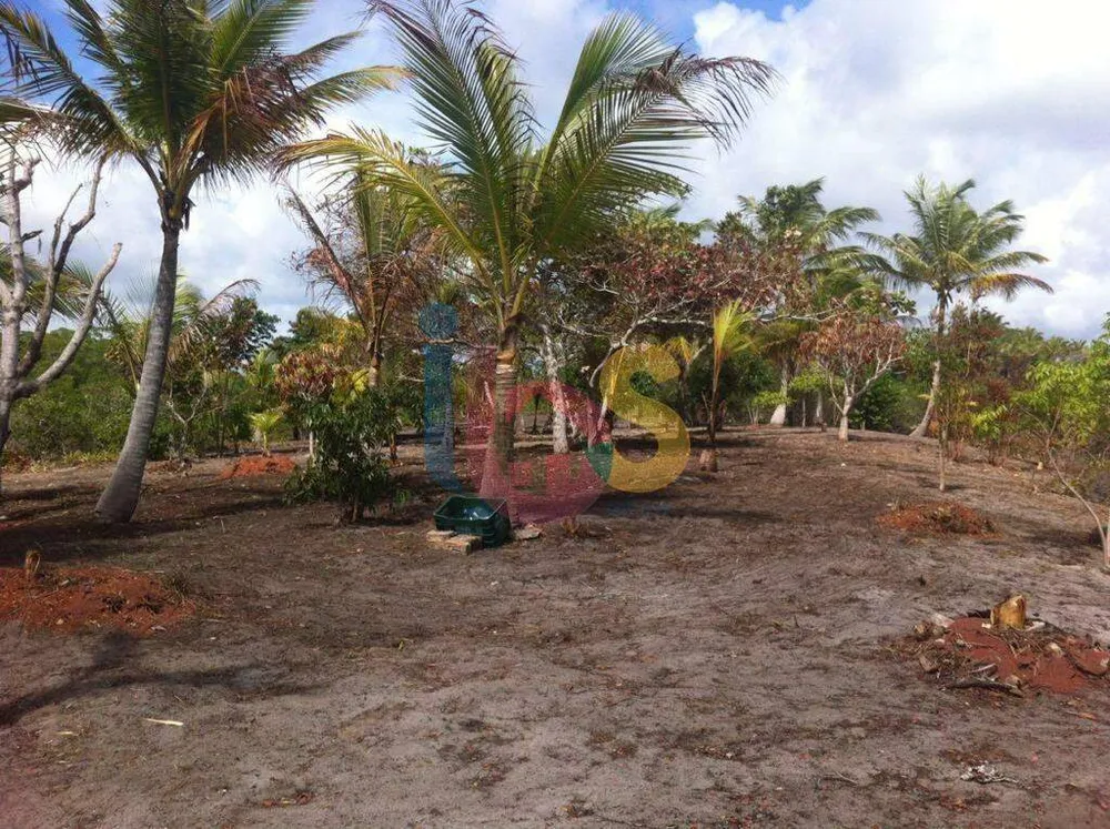 Terreno, 3 hectares - Foto 7