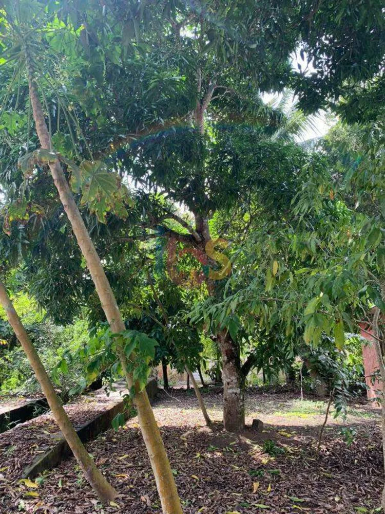 Terreno, 700 m² - Foto 1
