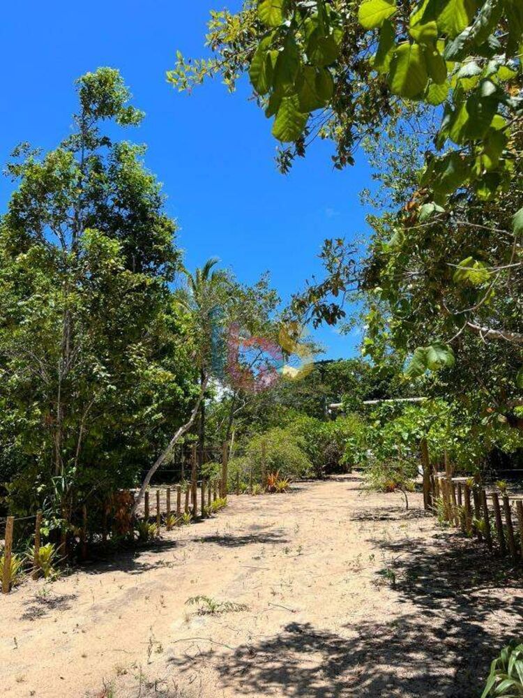 Terreno, 650 m² - Foto 1