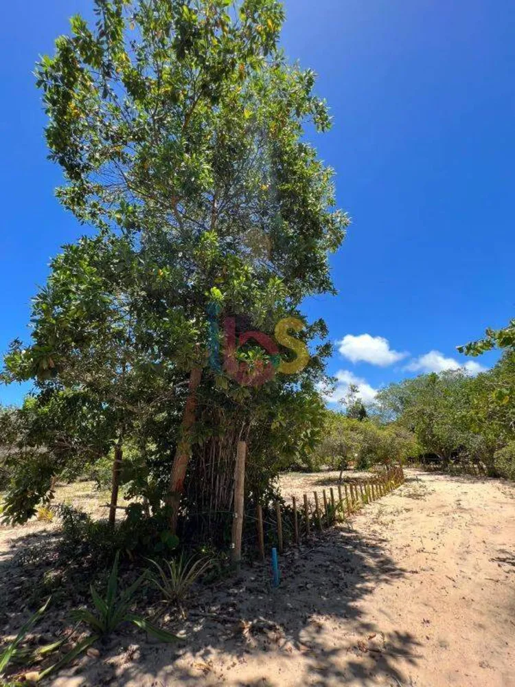 Terreno, 650 m² - Foto 8