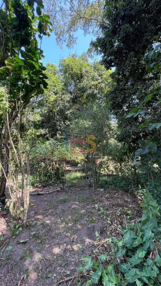 Terreno, 250 m² - Foto 8