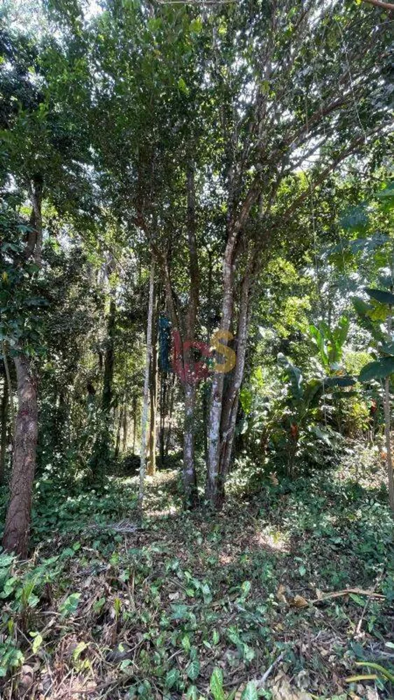 Terreno, 250 m² - Foto 7