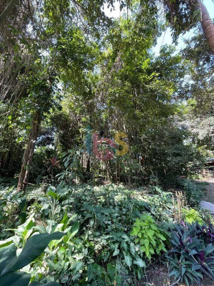 Terreno, 250 m² - Foto 3
