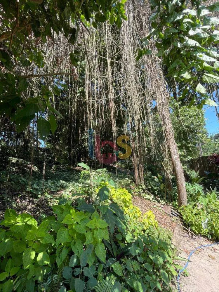 Terreno, 250 m² - Foto 6