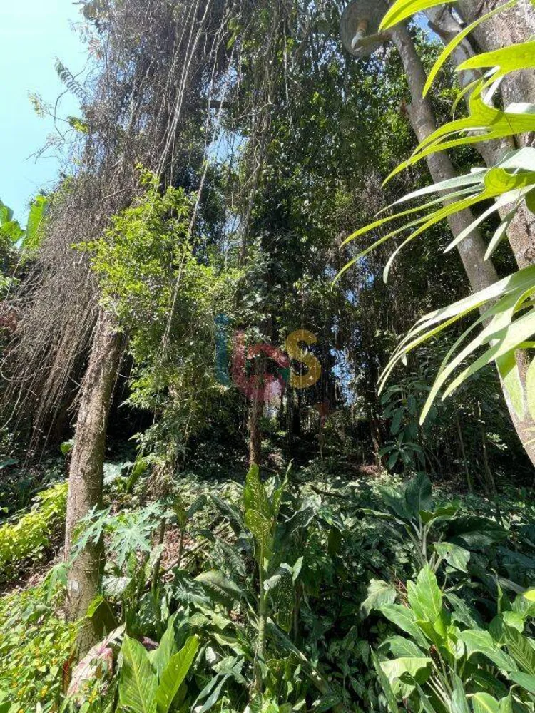 Terreno, 250 m² - Foto 5