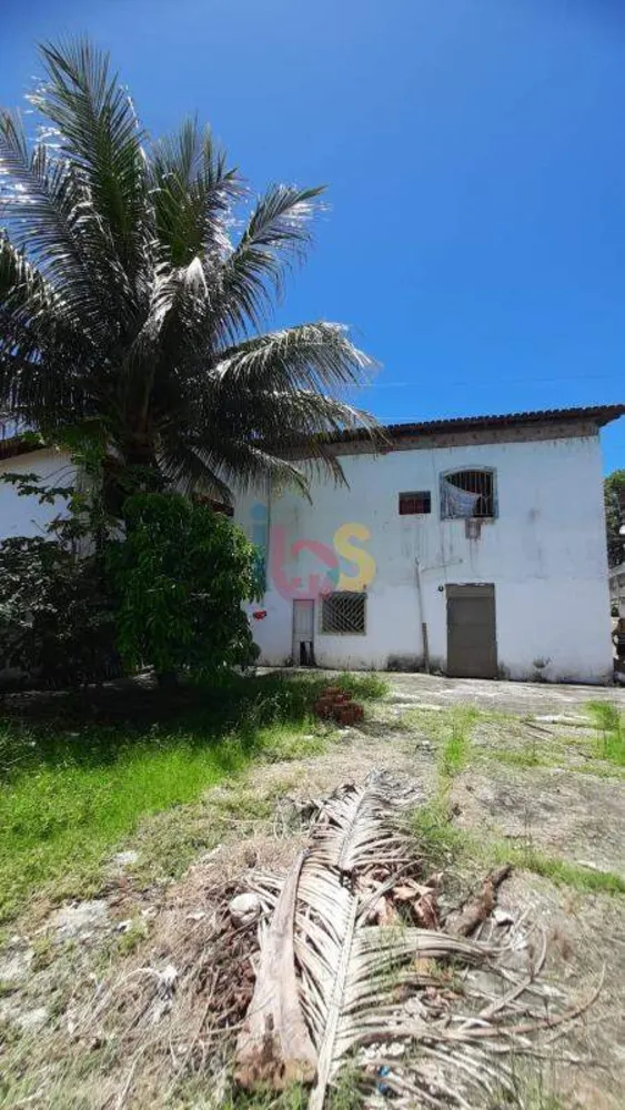 Casa, 9 quartos, 288 m² - Foto 11