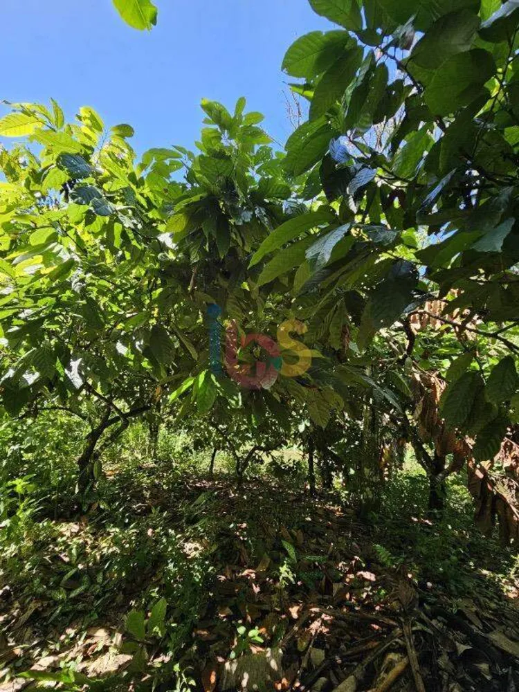 Fazenda - Foto 14