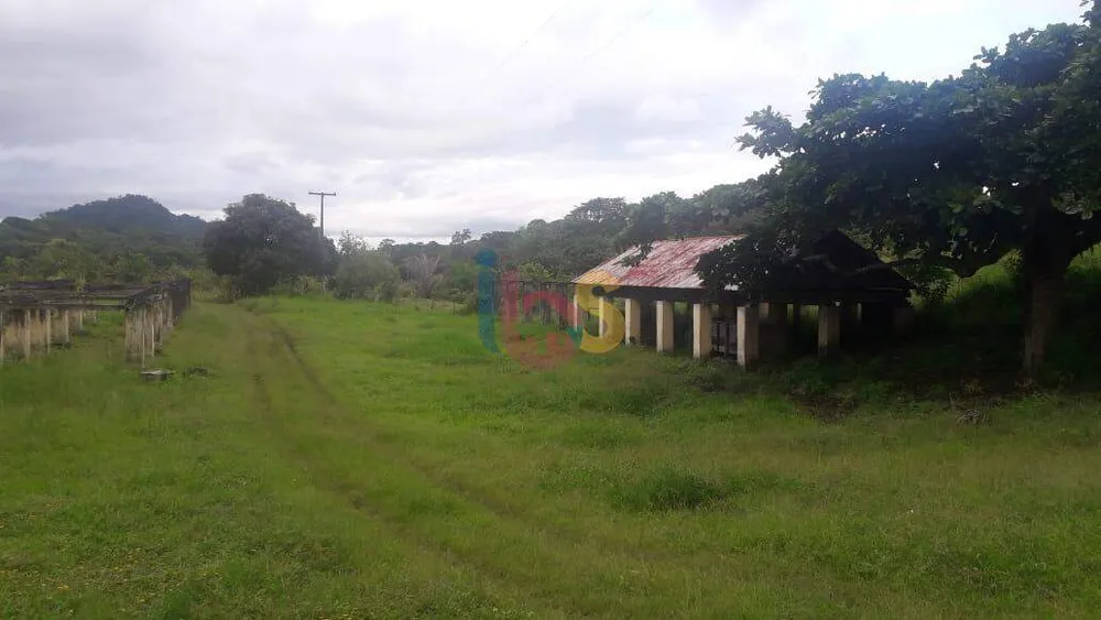 Sítio - Foto 7