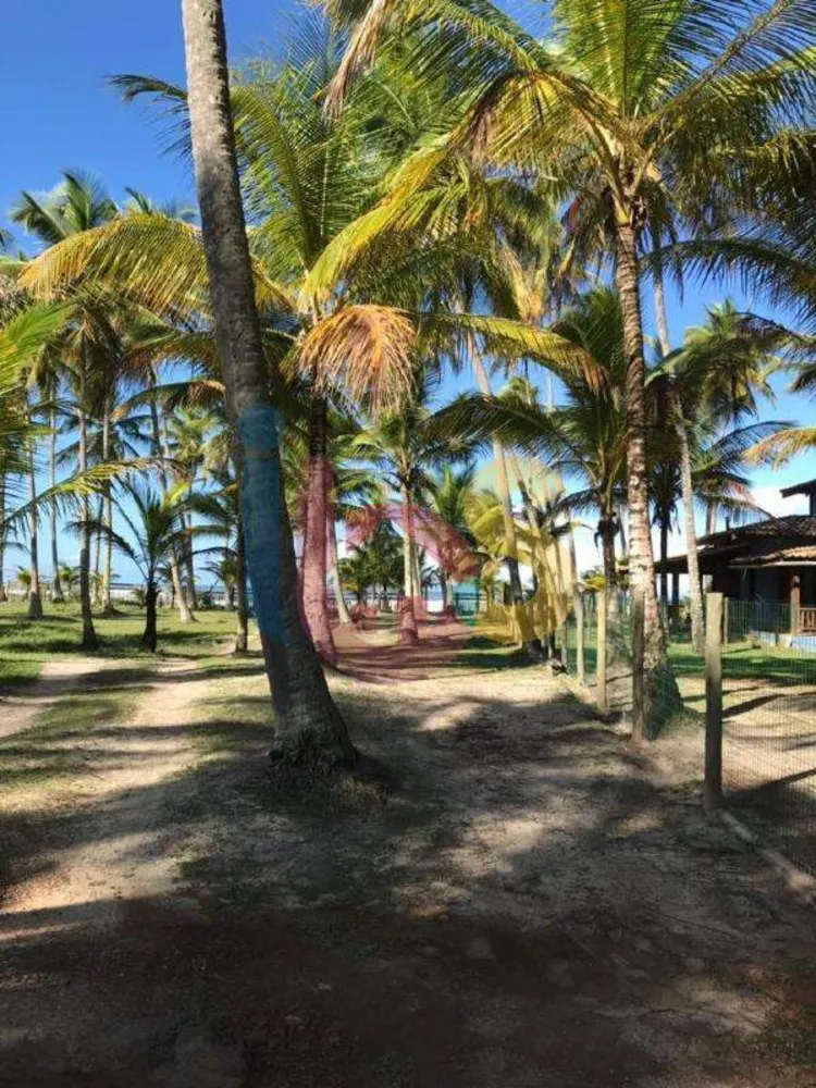 Casa, 5 quartos, 350 m² - Foto 3