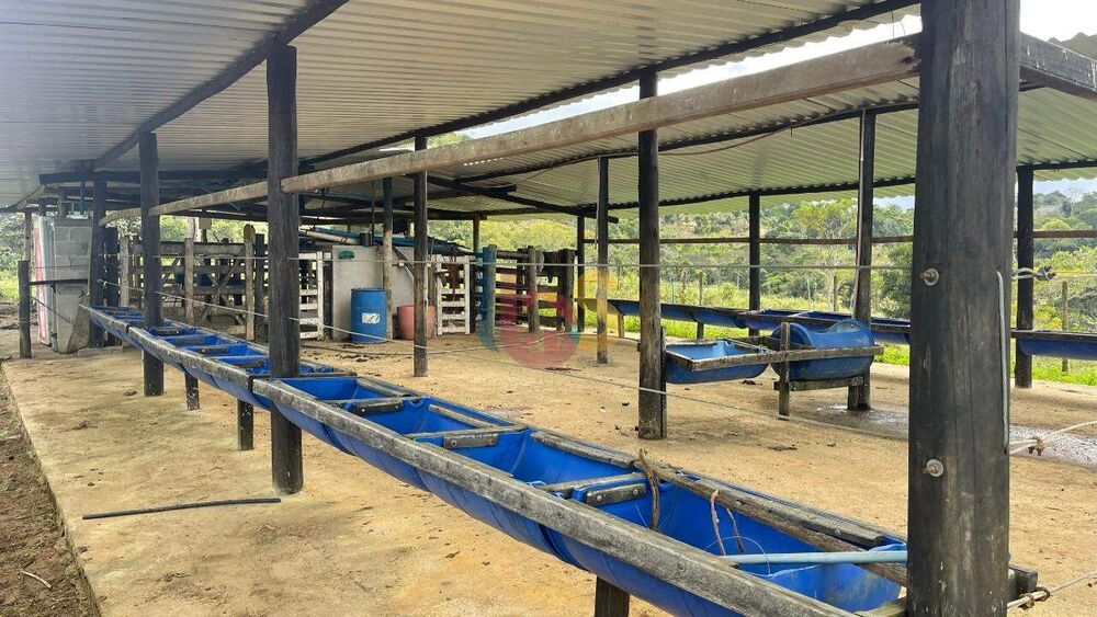 Fazenda-Sítio-Chácara, 2 quartos - Foto 11