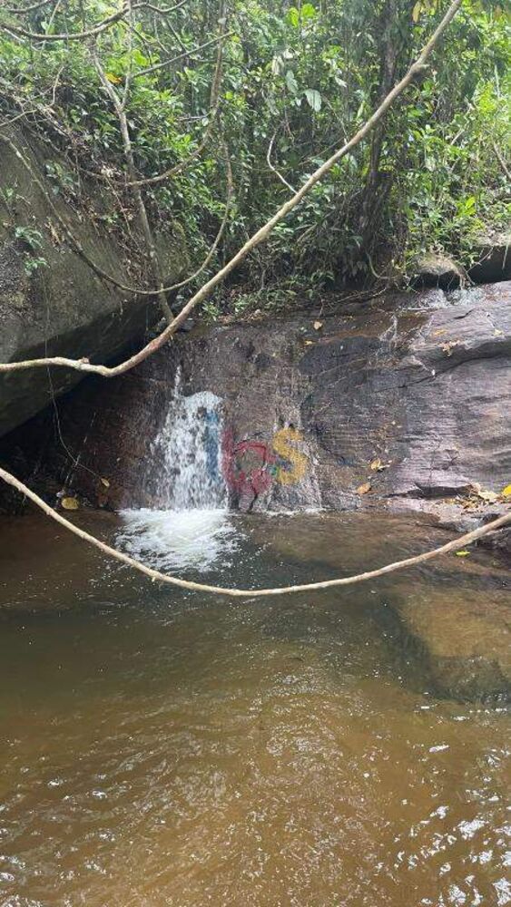 Fazenda-Sítio-Chácara, 2 quartos - Foto 13