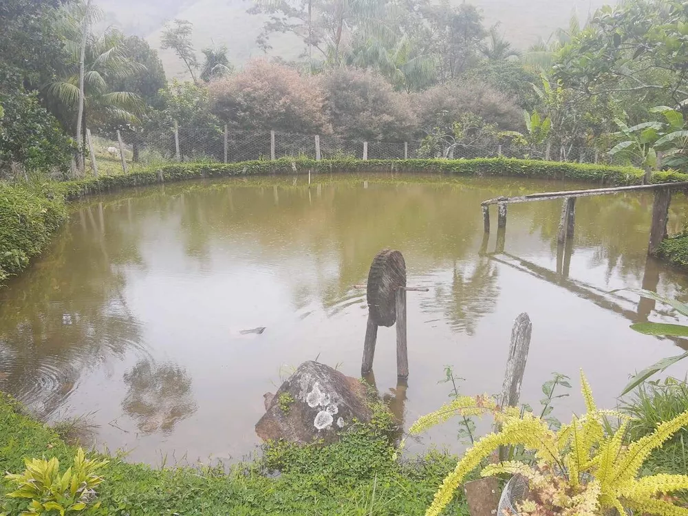 Fazenda à venda com 6 quartos, 6000000m² - Foto 3