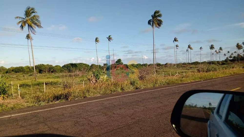 Terreno, 5 hectares - Foto 6