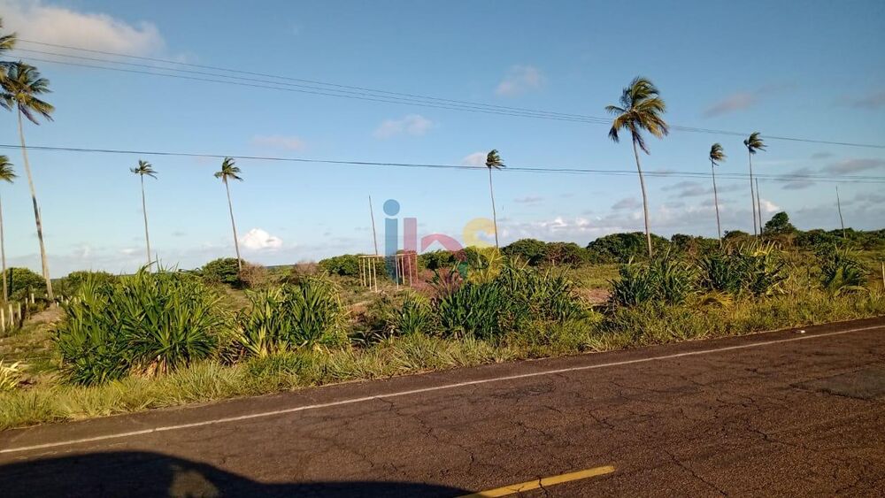 Terreno, 5 hectares - Foto 4