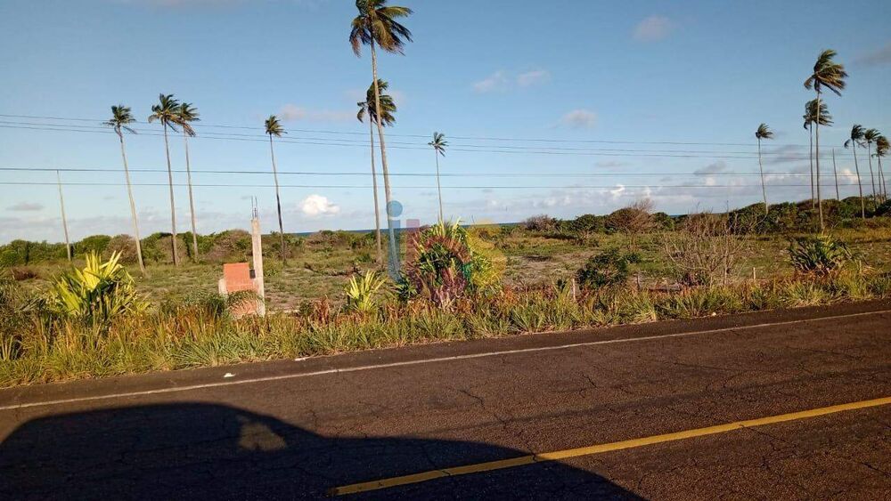 Terreno, 5 hectares - Foto 2