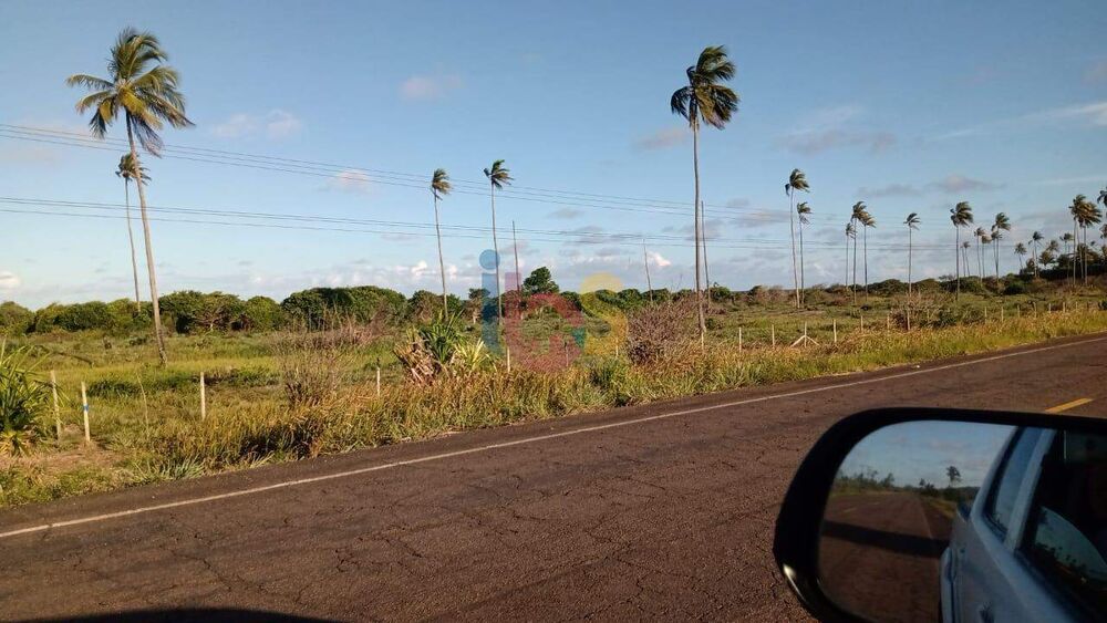 Terreno, 5 hectares - Foto 1