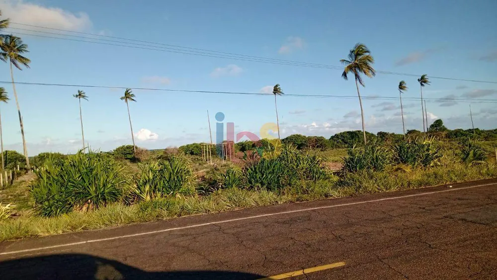 Terreno, 5 hectares - Foto 8
