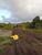Terreno, 250 m² - Foto 4