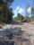 Terreno, 250 m² - Foto 3
