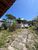 Casa, 3 quartos, 250 m² - Foto 6
