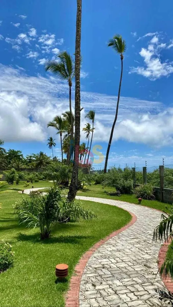 Casa, 4 quartos, 250 m² - Foto 8