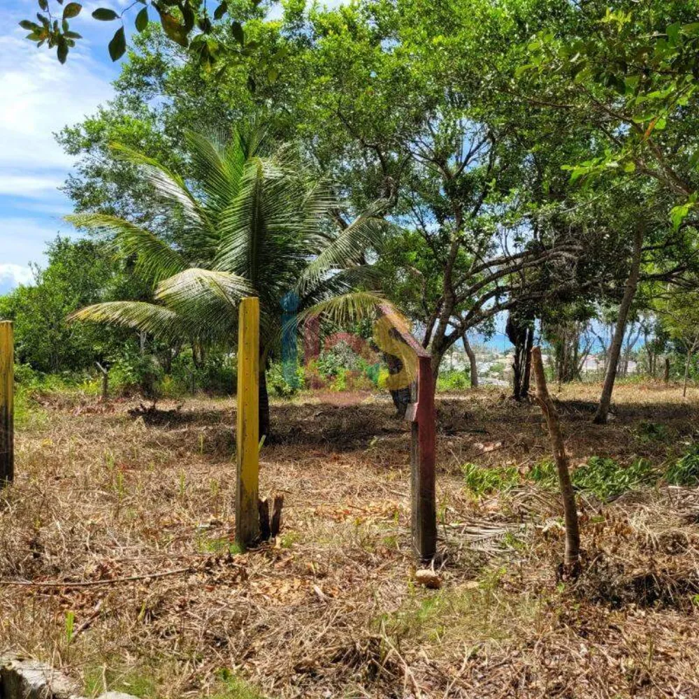 Terreno, 600 m² - Foto 9