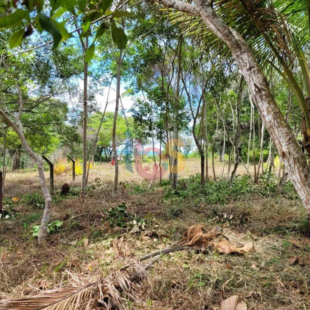 Terreno, 600 m² - Foto 10