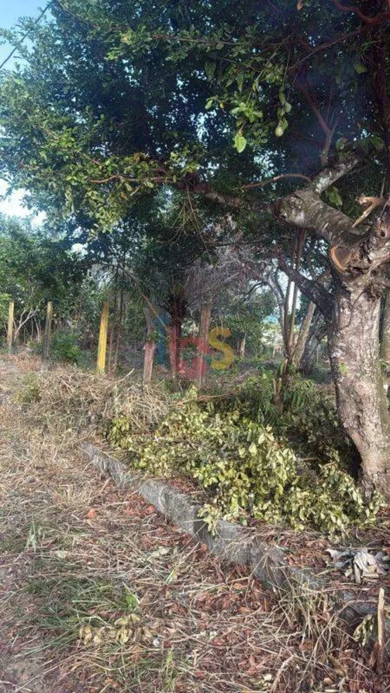 Terreno, 600 m² - Foto 11