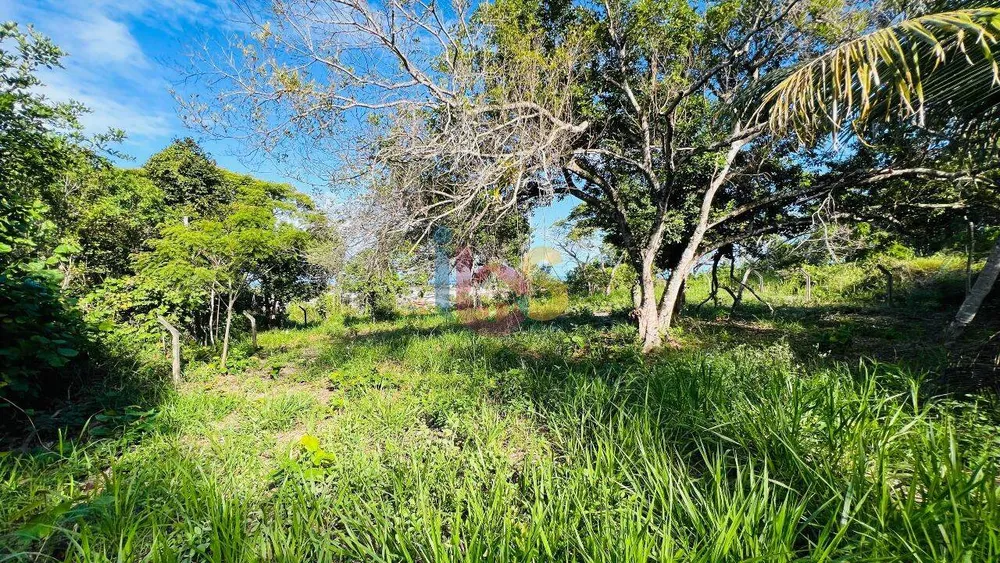 Terreno, 600 m² - Foto 3