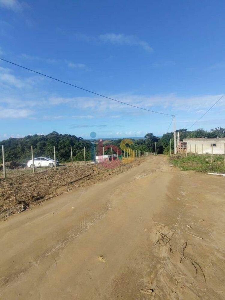 Terreno, 5 hectares - Foto 5