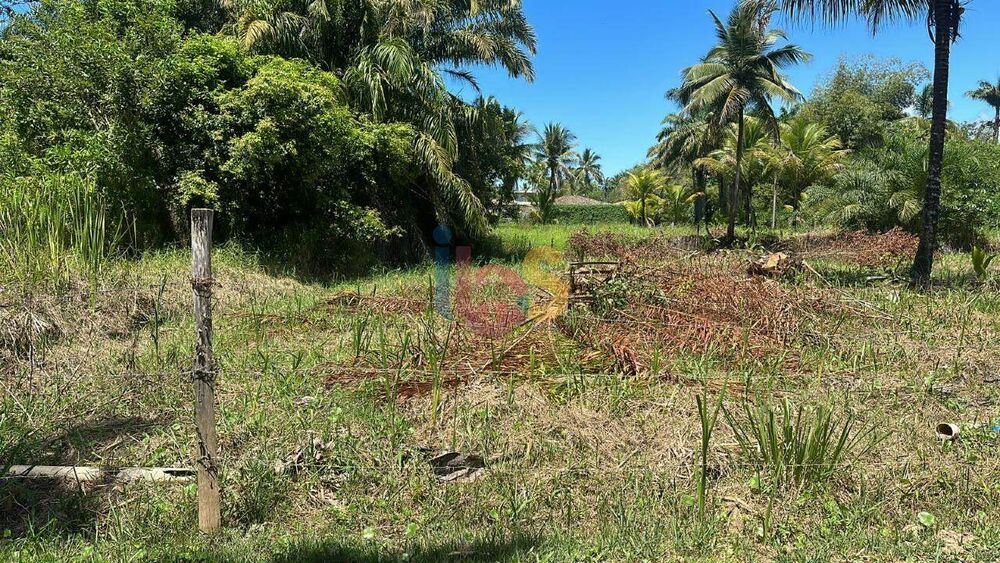 Terreno, 1500 m² - Foto 2