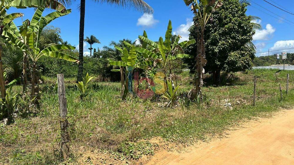 Terreno, 1500 m² - Foto 3