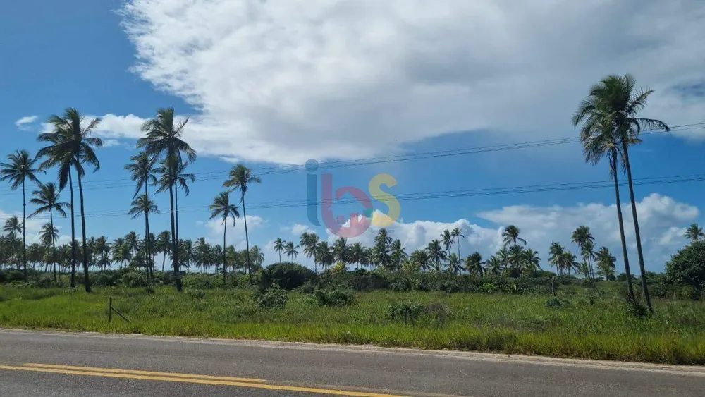 Terreno, 500 hectares - Foto 11