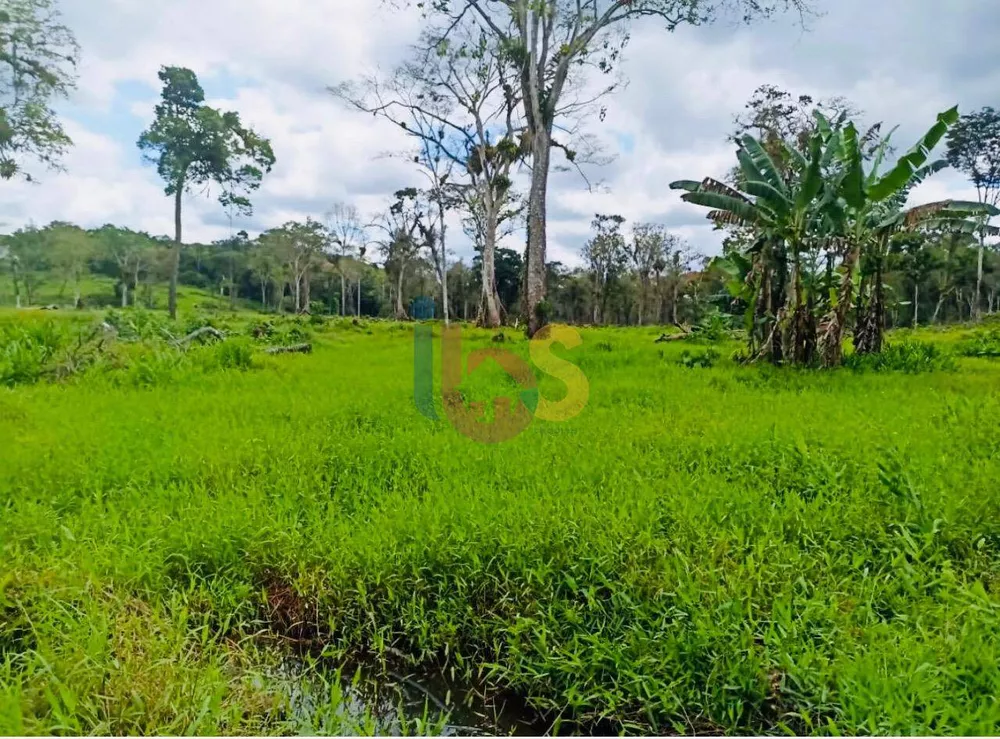 Fazenda à venda com 2 quartos - Foto 2